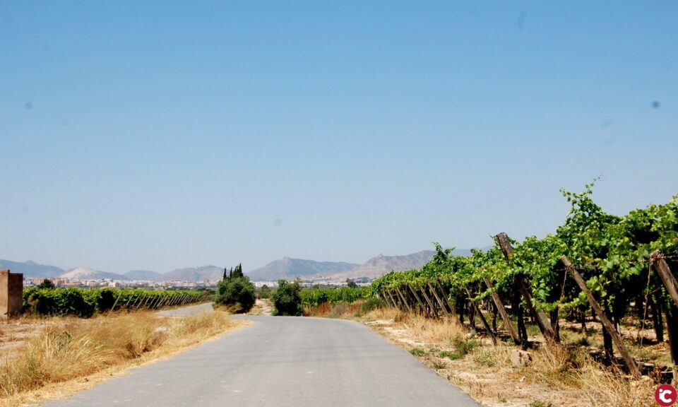 La Concejalía de Agricultura comienza el servicio de desbrozamiento de caminos