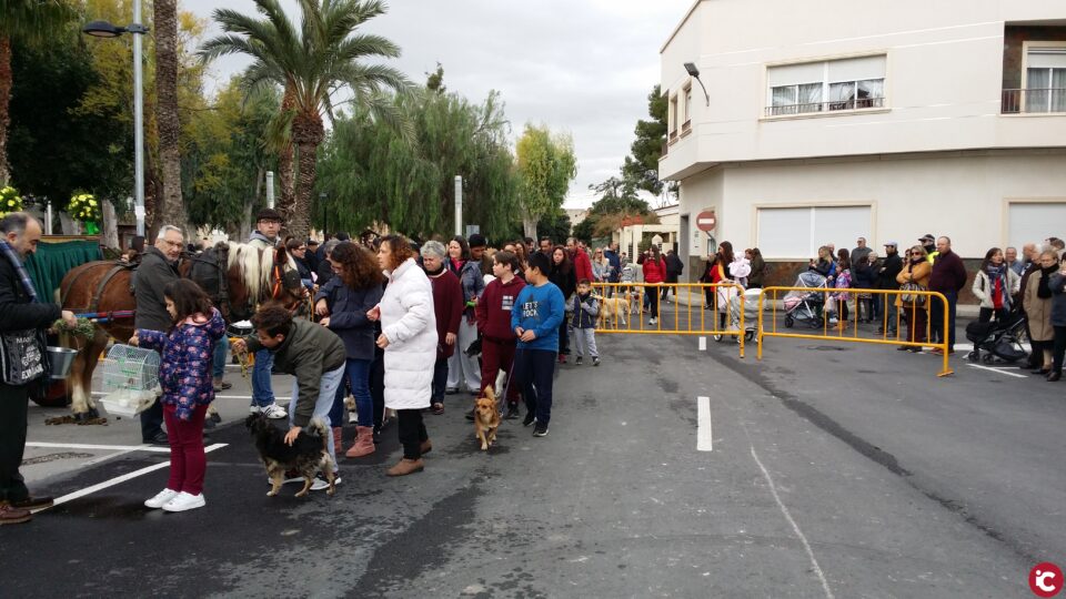 Romería y bendición de animales en honor a San Antón en Monforte del Cid el domingo 19 de enero