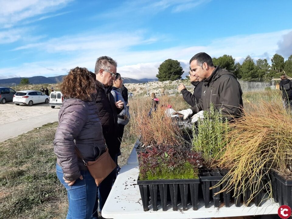 Más de 450 personas celebran el Día del Árbol en Castalla con jornadas de sensibilización ambiental