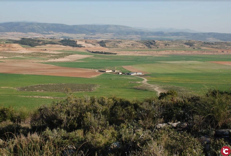 No podrán realizar quemas agrícolas hasta nueva orden