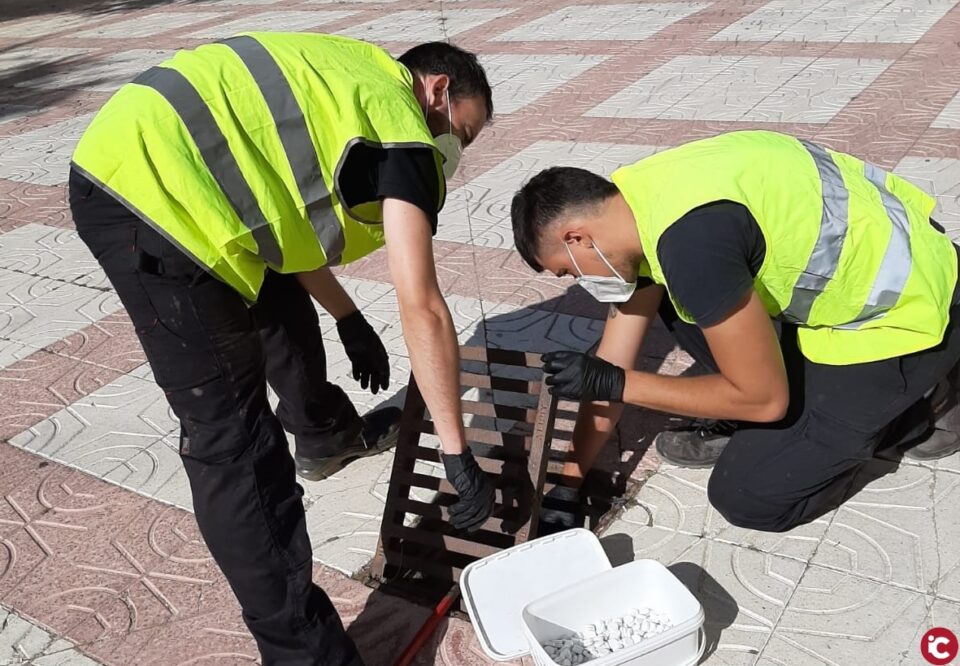 Castalla aplica un programa de vigilància i control larvari de mosquit comú i mosquit tigre