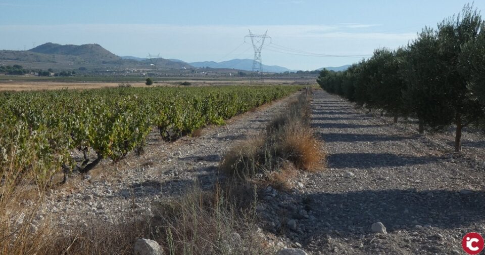 El pasado Viernes 18 de diciembre se presentó el Banco de Tierras de Salinas