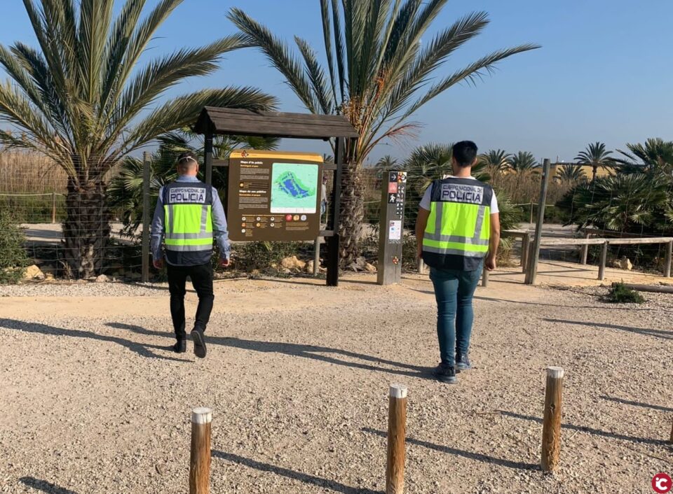 La Policía Nacional ha detenido a los responsables de varios robos ocasionados en el Parque Natural del Hondo