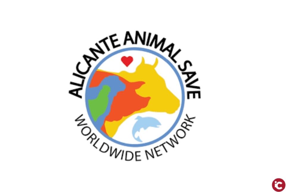 Charla antiespecista por la Organización Alicante Animal Save