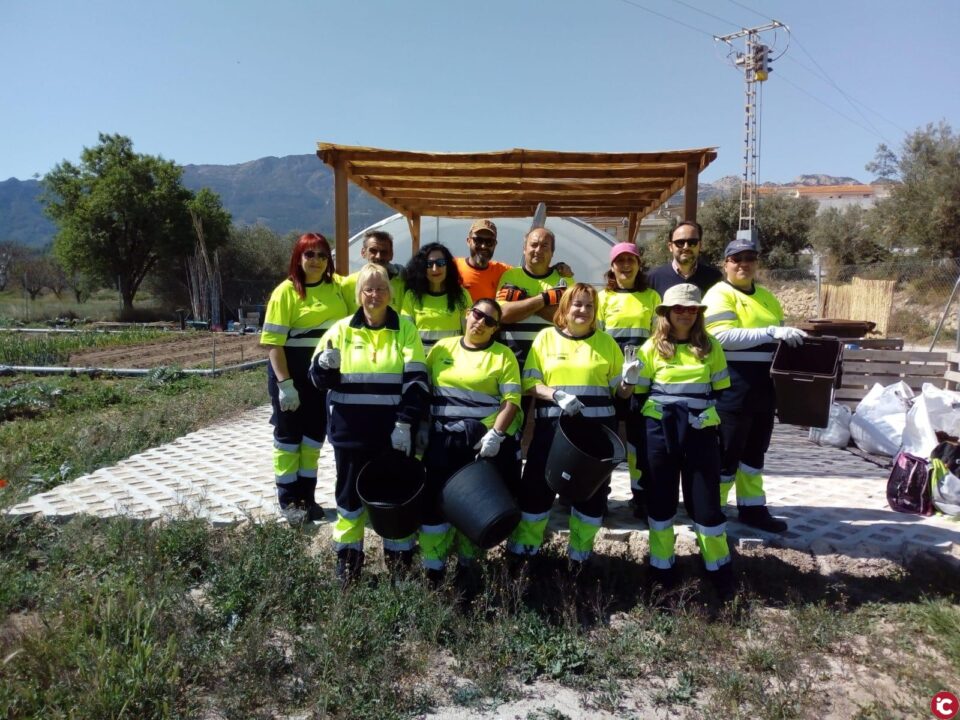 Treballs taller d´Ocupació MUROCUPA´T 2 Especialitat Forestal 2019