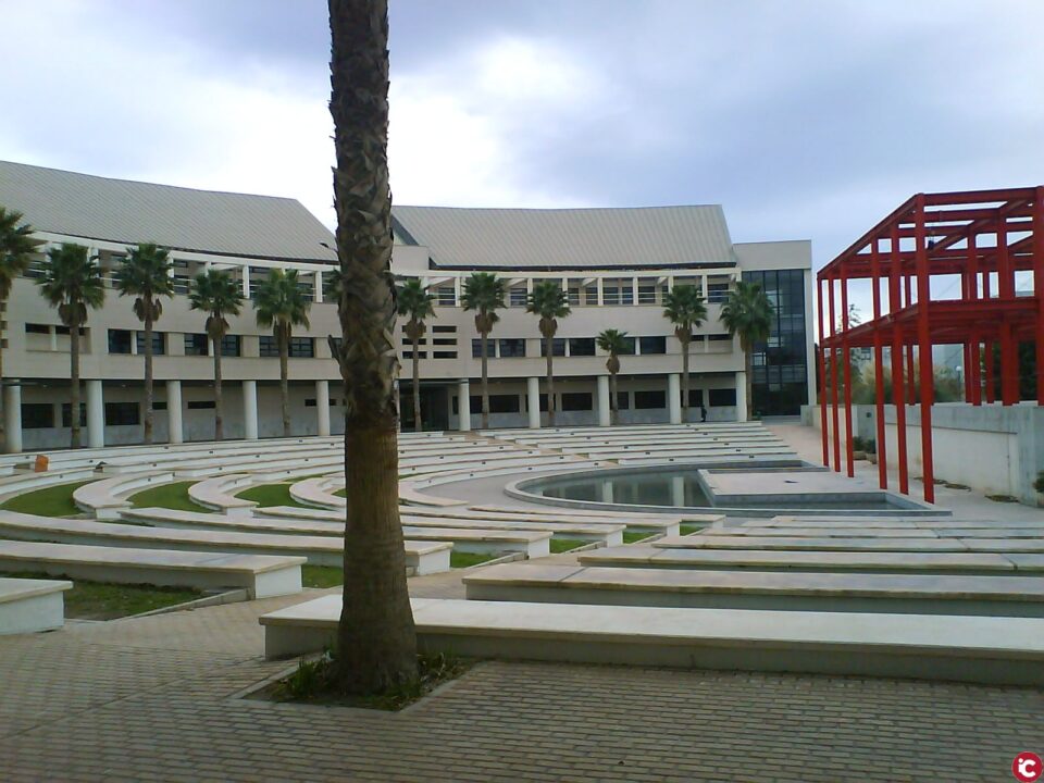 La reunión mensual del Consejo de Gobierno de la Universidad de Alicante continuará celebrándose online