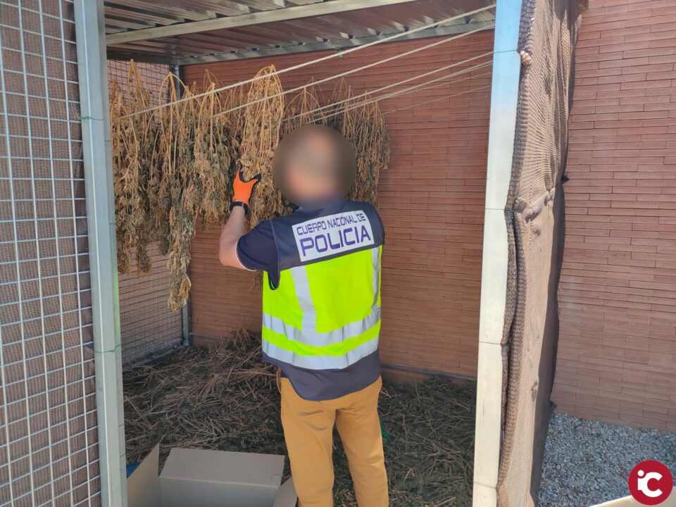 La Policía Nacional desarticula dos puntos negros de droga en Alicante y San Vicente dedicados al menudeo de marihuana y cocaína