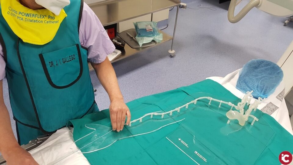 La Universitat d'Alacant reprodueix el sistema arterial humà en 3D