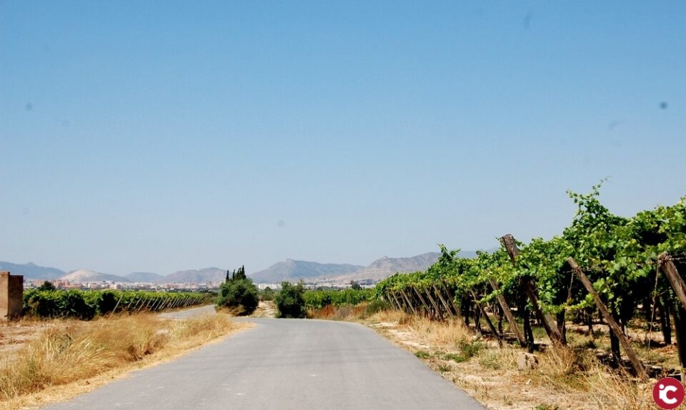 La Concejalía de Agricultura comienza el servicio de desbrozamiento de caminos