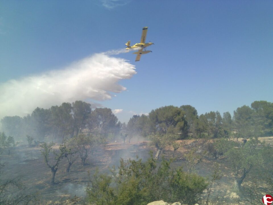 Un incendio declarado en la tarde de este viernes 5 de junio