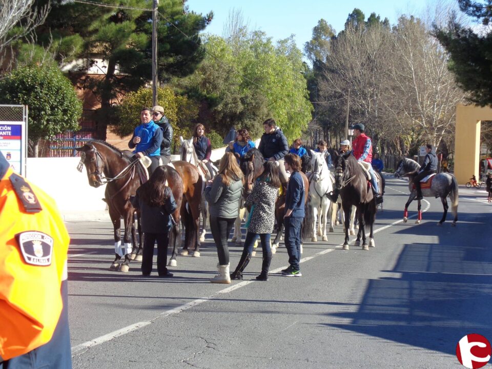 Actos celebrados con motivo de la Festividad de San Antón