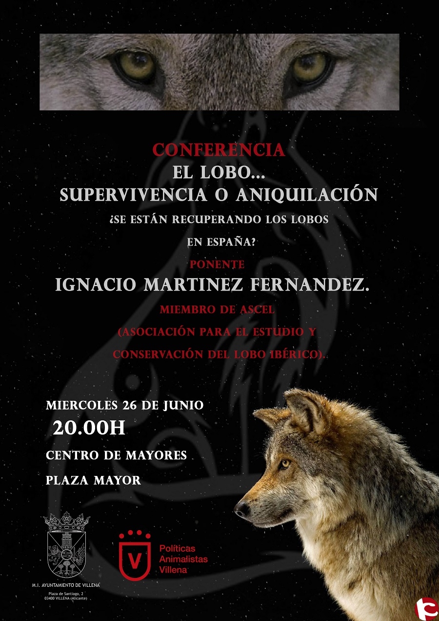 El Ayuntamiento organiza una ponencia tratando la importancia y la  situación del lobo en la Península Ibérica - Actualitat de l´Alt Vinalopó,  el Vinalopó Mitjà, l´Alcoià, El Comtat i l´Alacantí