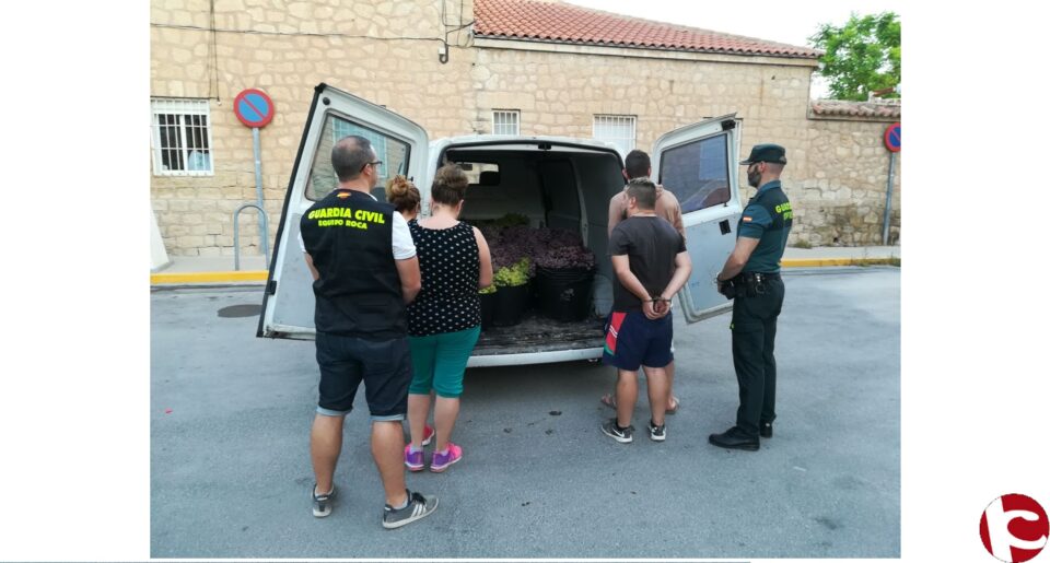 La Guardia Civil esclarece el robo de 4.500 kgs de uva de mesa sustraídos de Monforte del Cid y Orito