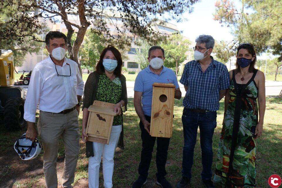 La Universitat d'Alacant instal·la gàbies niu al campus per a ampliar-hi la biodiversitat