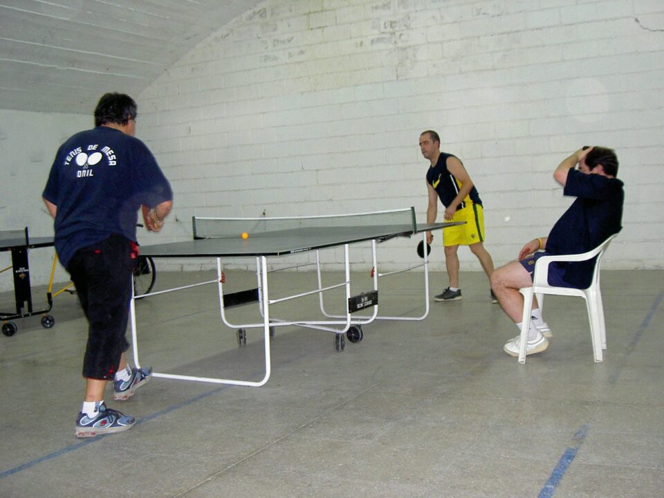 Campeonato autonomico de tenis de mesa