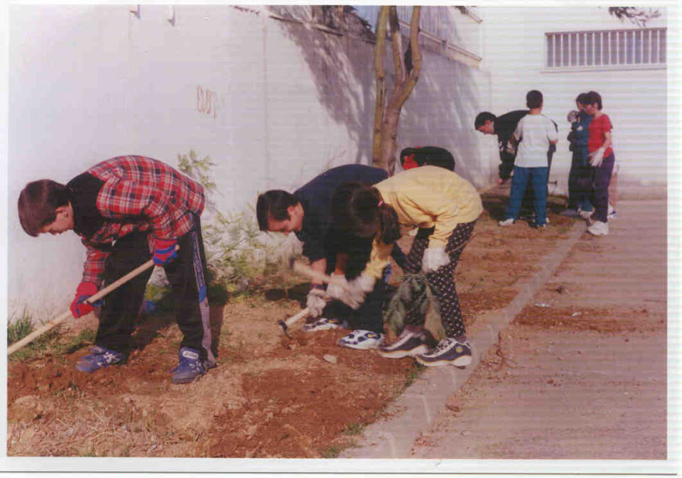 Día del Árbol en Beneixama