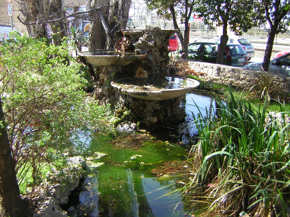 Limpieza de la fuente de la rana