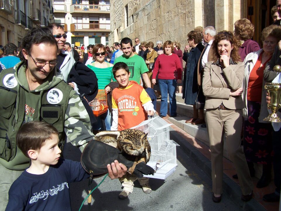 ACTOS DE SAN ANTON EN ONIL