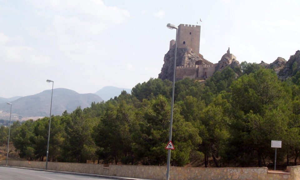 EL AYUNTAMIENTO DE SAX APROBARÁ POR PLENO LA DECLARACIÓN DE LA LADERA DEL CASTILLO DE SAX COMO PARAJE NATURAL MUNICIPAL