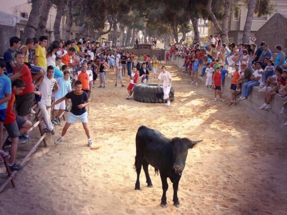 Vaquillas en Pinoso (Alicante)